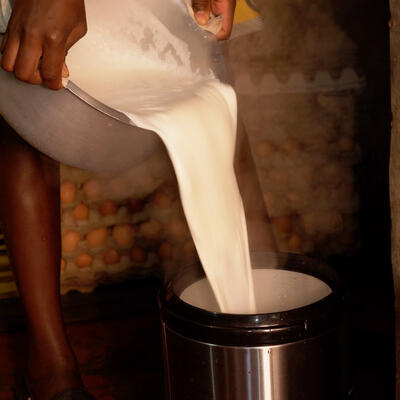 Pouring boiled milk
