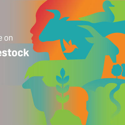 FAO Global Conference on Sustainable Livestock Transformation 