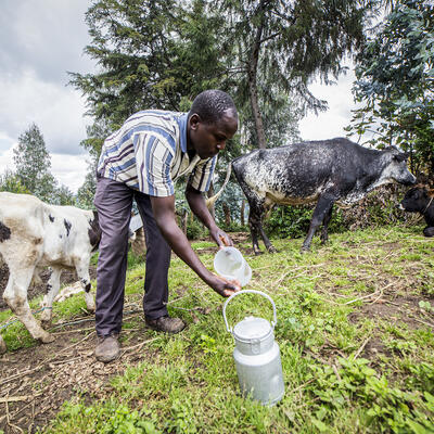 Rwandan dairy farmer