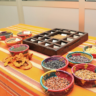 Forage seeds on a table