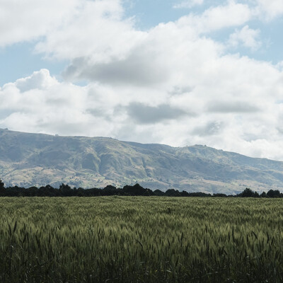 Mbeya landscape, Tanzania. ILRI / K. Dhanji Mbeya landscape, Tanzania.