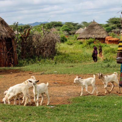 Borana herder Borana herder