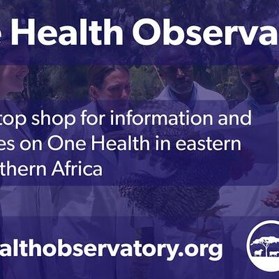 One Health observatory infographic