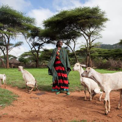 A pastoralist leads her goat for grazing in Borana, Ethiopia (ILRI \ Zerihun Sewunet).