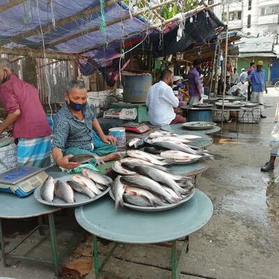 Bangladesh fish market