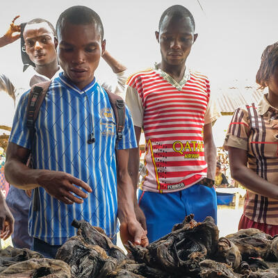 Bushmeat being sold at the weekly market of Yangambi, DRC. Photo credit: Axel Fassio/CIFOR
