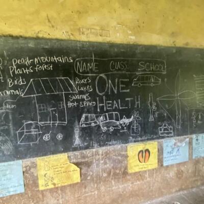Illustration of the One Health approach by primary school pupils in Uganda (photo credit: COHESA/YOLIDA).