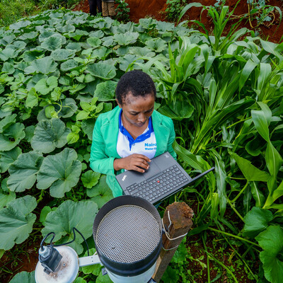 Woman with laptop on the field Woman with laptop on the field