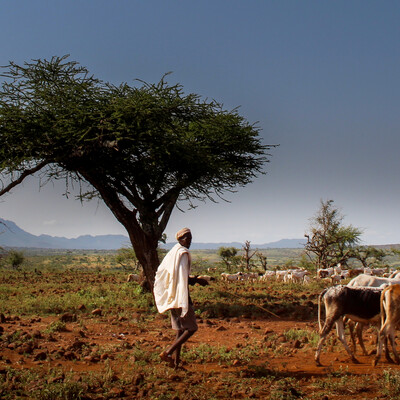 pastoralist in Ethiopia