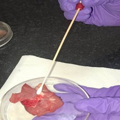 Application of decontaminant wipe on meat and meat contact surface 
