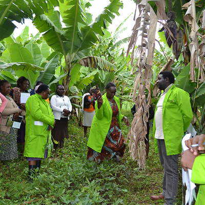 A Farmer field day on the pioneer farmers' farm