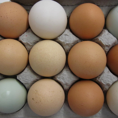 A row of eggs A row of eggs