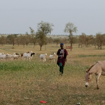 Reaching millions of farmers through climate information services Reaching millions of farmers through climate information services