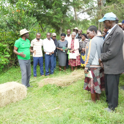 Farmers learning about Hay making from a Pioneer Farmer