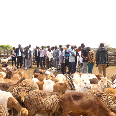 Baringo farmers exchange 