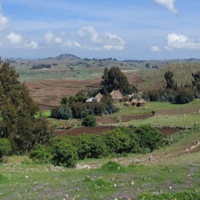 Mojana Wedera Woreda
