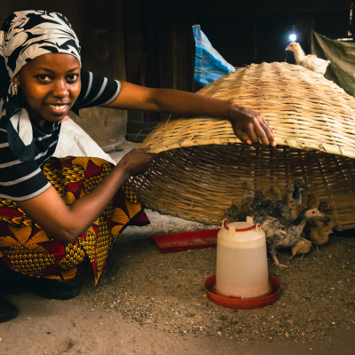 A chicken farmer with chicks that she is raising A chicken farmer with chicks that she is raising