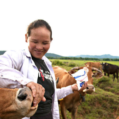 A smiling woman feeding her cows 