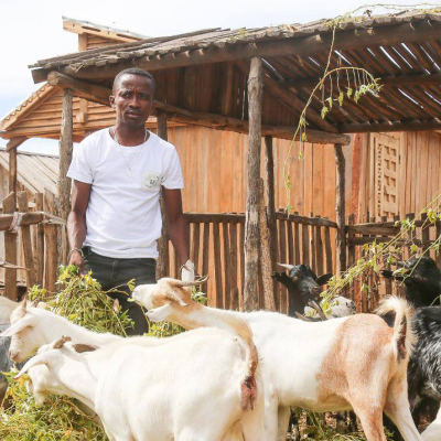 From analysis to action: livestock research helps Madagascar transform its livestock sector From analysis to action: livestock research helps Madagascar transform its livestock sector
