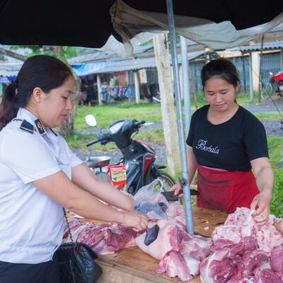 SAFEPORK - Market based approaches to improving the safety of pork in Vietnam