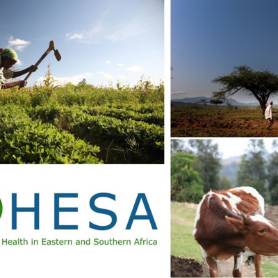 Capacitating One Health in Eastern and Southern Africa
