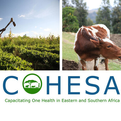 Capacitating One Health in Eastern and Southern Africa