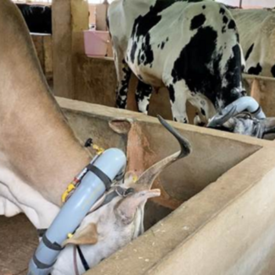 Assessment of Spatio-Temporal Variation in Enteric Methane Emissions and Development of Primary Data Based Inventory