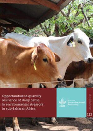 dairy farming business plan in uganda