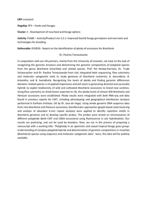 [108] Cluster2.1_D10520 - Report on the identification of ploidy of accessions for Brachiaria.pdf.jpg