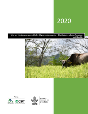 [41] Informe adopción_JLU.pdf.jpg