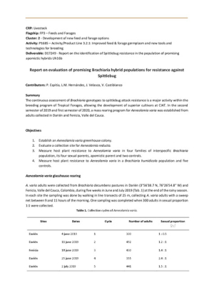 [44] Cluster2.1_1_17249_Report on evaluation of promising Brachiaria hybrid populations for resistance against Spittlebug.pdf.jpg
