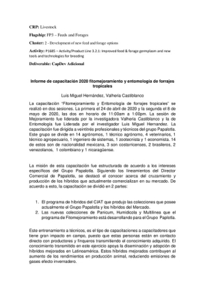 [50] Cluster2.1_CapDev_Adicional_INFORME DE CAPACITACION Mejoramiento 2020.pdf.jpg