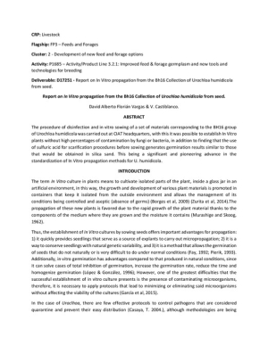 [54] Report In Vitro propagation from the Bh16 Collection of Urochloa humidicola from seed..pdf.jpg