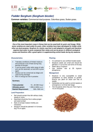[66] 3.4.1.10.1 Fodder Sorghum SM.pdf.jpg
