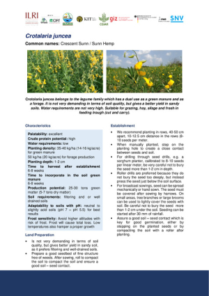[72] 3.4.1.10.7 Crotolaria juncea Sunnhemp UO.pdf.jpg