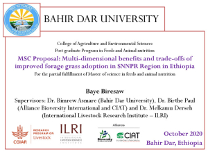 [79] Cluster2.1_17_17265_Baye_MScproposal_BahirDar_edited_BP.pdf.jpg