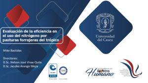 [82] Tesis presentaciónUEN.pdf.jpg