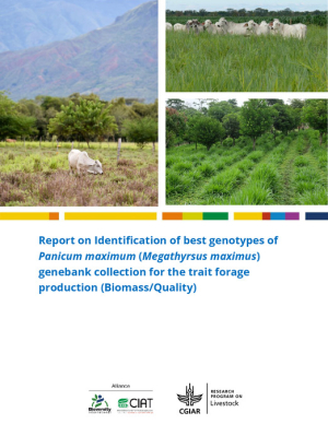 [89] Report Megathyrsus maximus forage production.pdf.jpg