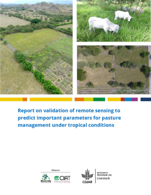 [90] Report remote sensing.pdf.jpg