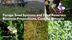 [93] Webinar slides for dissemination 1.25.21 (1).pdf.jpg