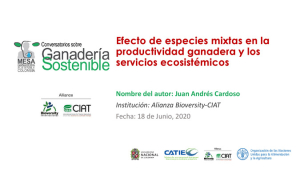 0618 Juan Cardoso.pdf.jpg