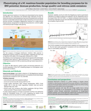 1 Arango- Phenotyping of a M. maximus founder population for breeding ..pdf.jpg