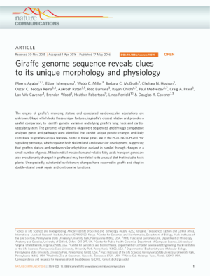 10.1038-ncomms11519.pdf.png
