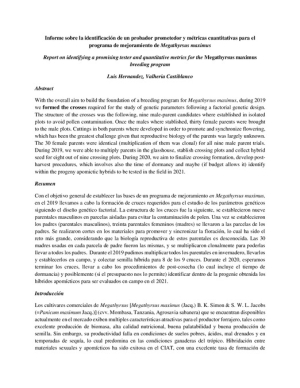 11_Report on identifying a promising tester and quantitative metrics for the Megathyrsus maximus breeding program-edit.pdf.jpg