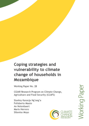 12Karanja_CCAFSWP28_CopingAndVulnerabilityTo ClimateChangeInMozambique_Final.pdf.jpg
