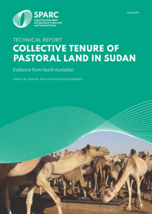 12_collective-tenure-of-pastoral-land-in-sudan_report.pdf.jpg