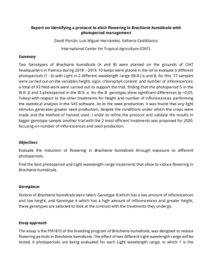 1_Report on identifying a protocol to elicit flowering in Brachiaria humidicola with photoperiod management-edit.pdf.jpg
