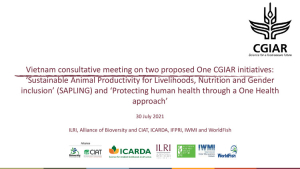 1cgiar_vietnam_july2021_slides.pdf.jpg
