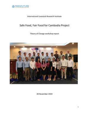 20191128_sfffCambodia_ToC workshop report.pdf.jpg
