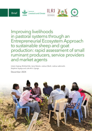 2025 1 ilri briefs Improving livelihoods in pastoral systems through an Entrepreneurial Ecosystem Approach to sustainable sheep and goat production_single page (002).pdf.jpg